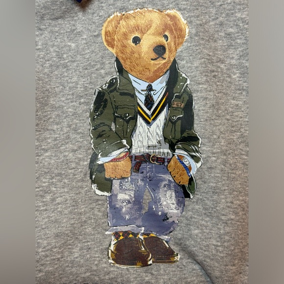 NWT Polo Ralph Lauren Boys Polo Bear Color Blocked Fleece Hoodie - Picture 10 of 13